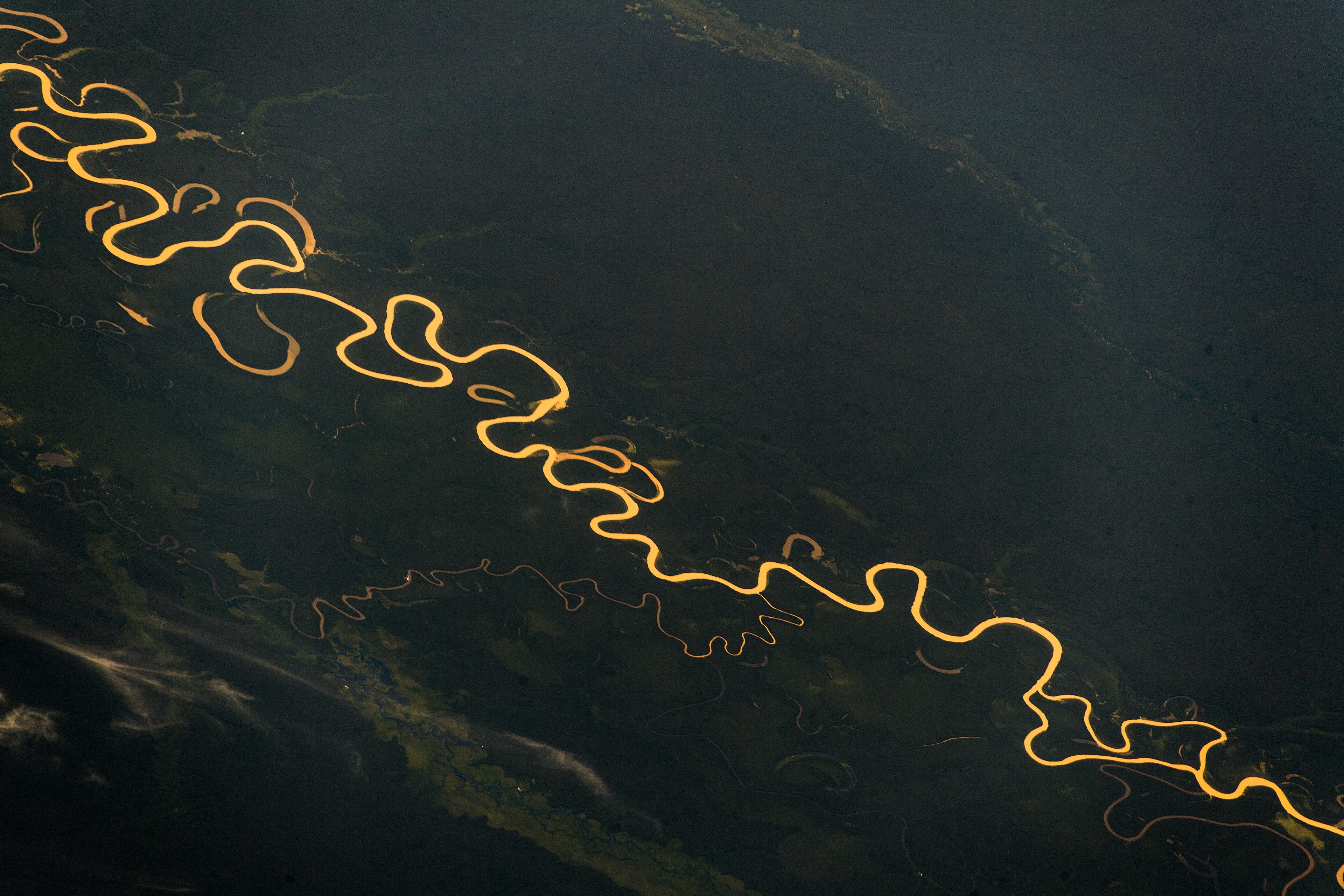 Amazon river and rainforest, aerial view